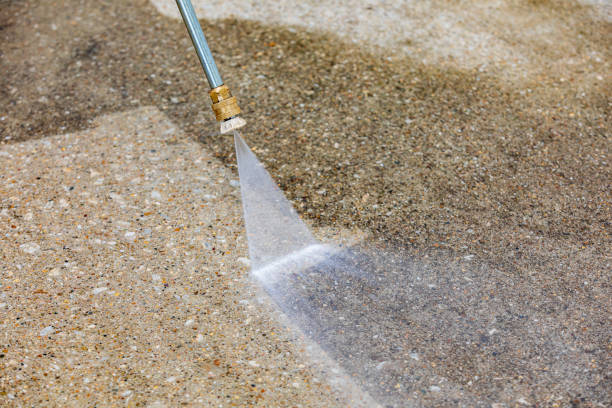 Best Pre-Holiday Cleaning  in Washburn, WI